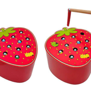Strawberry Sorting Magnetic Toy
