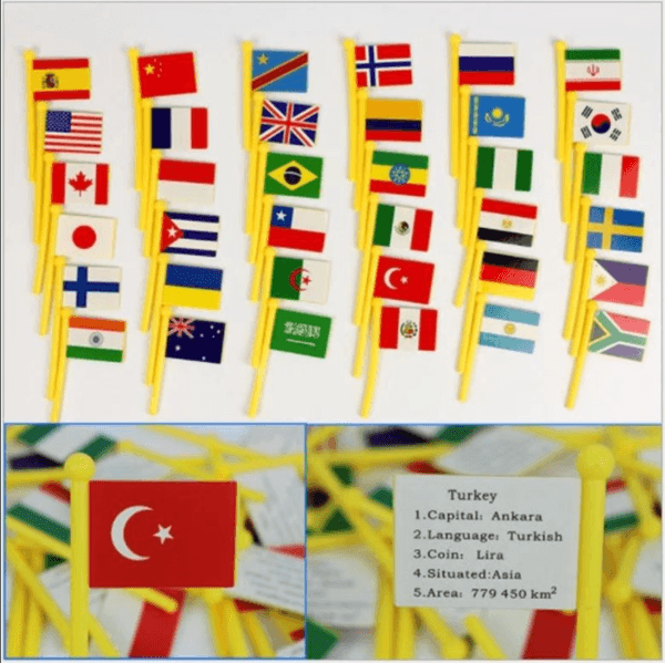 Map of the World: Informative Flags - Chirp N Buzz toy store